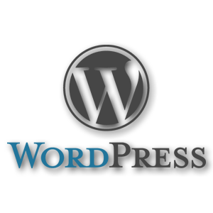WordPress redakční systém